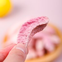 Premium Gefreeze-droogde Perzikplakjes, Ongesuikerd Gefreeze-droogd Fruit, Gezonde Knapperige Gedroogde Vruchten Groothandelslevering aan Wereldwijde Voedingsdistributeurs