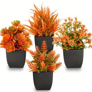 Plantes en pot pour la décoration d'automne - Product Image 1