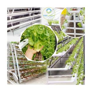 A-Frame Hydroponisch Kweeksysteem Platte Buis Met Meerdere Lagen 100X50Mm Aardbeienkas Landbouw Hydrocultuur Kit-Systemen - Product Image 4