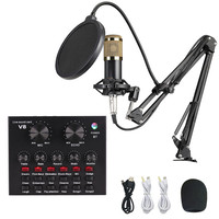 Microphone BM800, kit de microphone de studio pour podcast avec carte son V8, microphone à condensateur pour PC, filaire, couleur rose, micro à main, sans Wifi