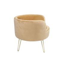 Fournitures pour animaux de compagnie Canapé-lit pour animaux de compagnie en forme de cercle avec pieds en métal Lit rond pour chat adorable Lit pour animaux de compagnie en velours
