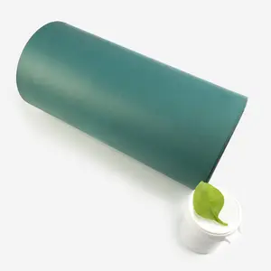 Folha anti-fricção Ptfe verde bule macia deslizante 0.8mm 1.2mm 1.5mm 2.0mm 2.5mm 3.2mm Turcite B com cola