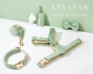 Ensemble de laisse et collier pour chien en cuir moderne fait à la main, vert sauge, personnalisé, nœud papillon fantaisie pour chiot, cadeau de mariage - Product Image 6