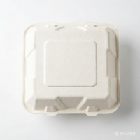 Duurzame, biologisch afbreekbare verpakkingen van suikerrietbagasse voor voedsel, wegwerpverpakkingen voor restaurants, groothandelsbestellingen
