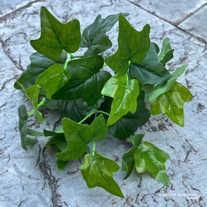 Plantas Artificiales Verdes, Paquete de 5 Ramas, Hojas de Camote, Hojas de Maní, Hojas de Taro para Decoración de <span class=keywords><strong>Bodas</strong></span> - Product Image 4