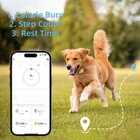 Traceur GPS intelligent pour animaux de compagnie Android, anti-perte, surveillance de la santé, positionnement en temps réel, enregistrement des activités du chien, modèle PD 68