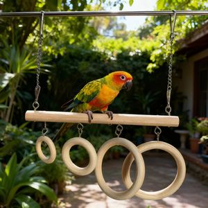 Anneaux suspendus pour oiseaux perroquets, pour mâcher, décoratifs, balançoires, poteaux à balançoire avec anneaux d'escalade et tunnel pour petits perroquets - Product Image 2