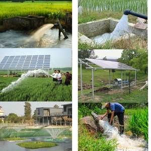 Pompe solaire en fonte du fabricant pour l'irrigation agricole, grande capacité, pompes à eau immergées et de surface pour puits profonds - Product Image 5