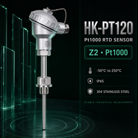 Sensor RTD Platinum HK-PT120 Pt1000 untuk Pengukuran Suhu Industri Tangki Pipa