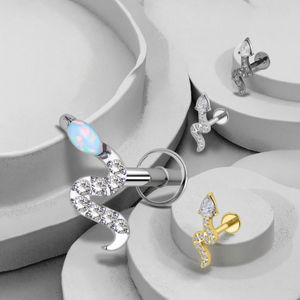 Cartilage de serpent Xinfocus, <span class=keywords><strong>piercing</strong></span> d'<span class=keywords><strong>oreille</strong></span>, boucle d'<span class=keywords><strong>oreille</strong></span> helix tragus, vente en gros, <span class=keywords><strong>piercing</strong></span> tendance pour femmes et hommes - Product Image 2