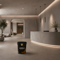 Peinture murale décorative imperméable en micro-ciment à base de pâte acrylique VALIDEA, texture extérieure, prête à l'emploi, sans durcisseur, faible teneur en COV, finition satinée