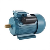 Moteurs AC de remplacement pour WEG/Siemens dans les lignes d'emballage, 220V monophasé, 0,55-4KW, 2/4 pôles, enroulement en fil de cuivre, garantie 1 an
