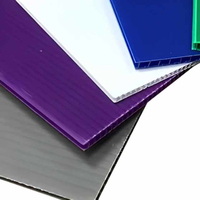 Plaques alvéolaires en polypropylène (PP) 4x8, panneaux alvéolés en plastique ondulé, type Corex Danpla, pour la vente en gros