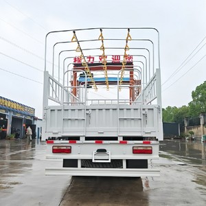รถบรรทุก Chengli 6x6 20 ตัน แบบมีรั้วกั้น ขับเคลื่อนทุกล้อ สำหรับงานหนัก บรรทุกสัมภาระบนแท่นเหล็ก เหมาะสำหรับการขนส่งบนถนนขรุขระ - Product Image 6
