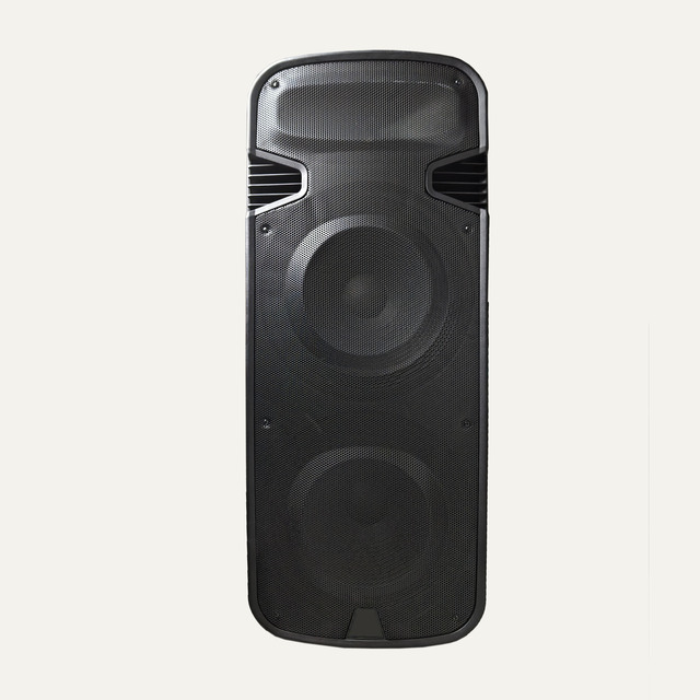 High Quality 500W MAX 2*15 Inch Active Professional Rechargeable Plastic Speakers for Stage Performance Large Commercial Clubs