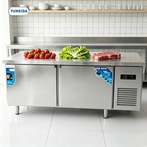 Réfrigérateur de Comptoir Premium en Acier Inoxydable pour Usage Professionnel en Boutiques, Cafés et Salons de Thé - Product Image 1