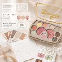 Palette de fards à paupières et de blush veloutés scintillants au design exclusif, marque privée OEM/ODM, formule riche en pigments, formule sur mesure, multi-tons