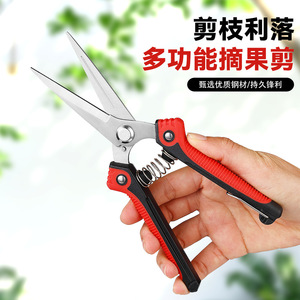 Tijeras de podar Pinhengzuo de acero inoxidable, diseño de mariposa con cabezal recto de 40 mm para recortar árboles frutales y cortar verduras - Product Image 3