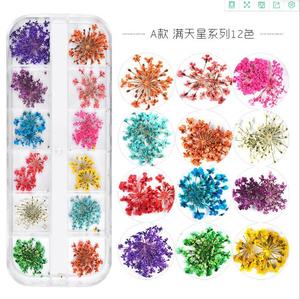 Autocollants professionnels fleurs séchées de bonne qualité, étiquette 3D, naturels, pour <span class=keywords><strong>Nail</strong></span> <span class=keywords><strong>art</strong></span>, 1 pièce - Product Image 2