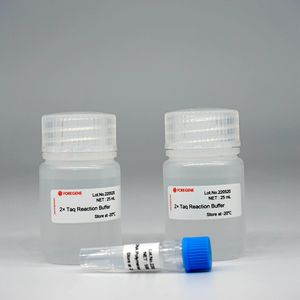 Taq ADN Polimerasa de arranque en caliente para productos reactivos de laboratorio <span class=keywords><strong>PCR</strong></span> qPCR - Product Image 4