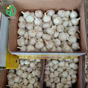 Embalaje <span class=keywords><strong>de</strong></span> ajo Premium en bolsa <span class=keywords><strong>de</strong></span> malla <span class=keywords><strong>de</strong></span> color púrpura, 3P/5P/6P por bolsa, 10KG/CARTON, Exportación <span class=keywords><strong>Colombia</strong></span>, Chile - Product Image 2