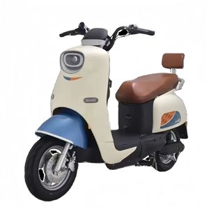 Scooter Eléctrico Fanlin CJ-XS600 de 60V 1000W con Neumáticos Anchos, Motocicleta Urbana, 40-60km/h, Gran Venta 2026 - Product Image 4