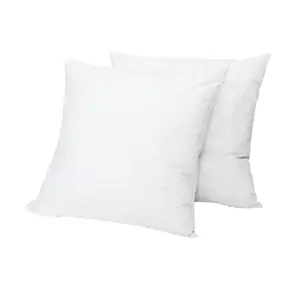 抱枕插入式鸭鹅羽绒羽毛白色20x20英寸床和沙发枕头室内抱枕插入式