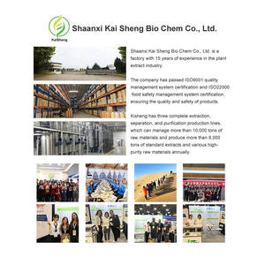 Atacado em Lote de Pó de Taumatina 99% Puro - Product Image 6