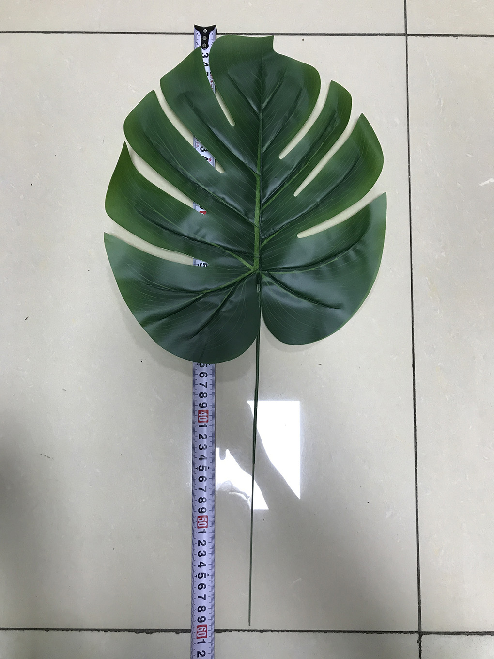 #2 (environ 60 cm)