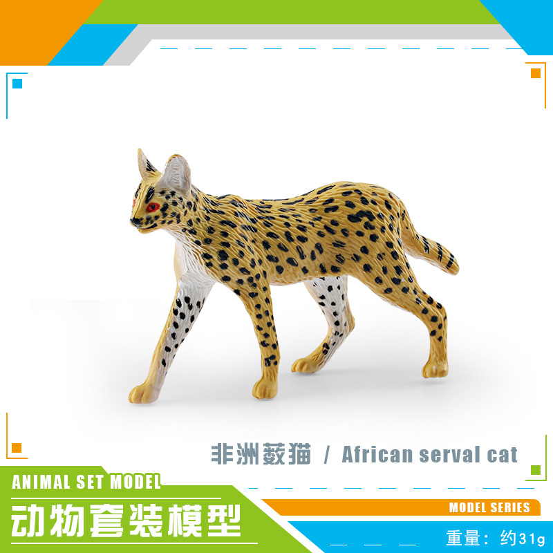 PL127-2501 Serval africano 31G