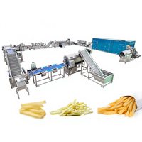 Volledig Automatische Aardappelchipsmachine Industrieel 300kg/u ODM Aangepaste Vers Gesneden Diepvries Gefrituurde Verwerkingslijn