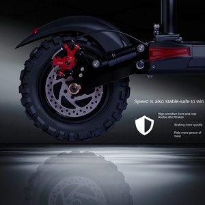 Monopattino Elettrico Fuoristrada N9 in Lega di Alluminio per Adulti - Pieghevole, Ruote da 11 Pollici, Lunga Autonomia (Oltre 35km) 48V Doppio Motore - Product Image 3