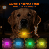 Mini Rastreador GPS 4G LTE para Mascotas con Rastreo en Tiempo Real, Resistente al Agua IP67, Batería de Larga Duración y Almacenamiento en la Nube para Perros y Gatos