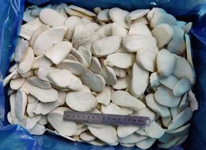 IQF <span class=keywords><strong>Pleurotus</strong></span> <span class=keywords><strong>Eryngii</strong></span> congelé-Champignons des bois tendres, idéal pour les plats gastronomiques, les sautés et les repas sains - Product Image 4