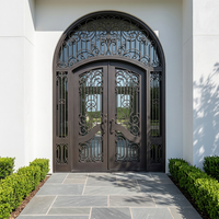 Porte d'entrée moderne à double battant en verre, en fer noir, de style français, contemporaine, pour maison résidentielle