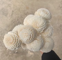ZanTe Accessoires : Lot d'aromathérapie de remplacement, diffuseur à roseaux séchés faits main, fleur de Sola en papier, pour la remise des diplômes et Pâques