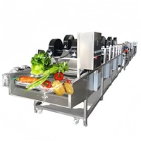 Automatische flitsdroogmachine voor fruit, groenten, rubber, PLC-gestuurde gaasbanddroger, SUS304, elektrische/gasverwarming voor efficiënt drogen