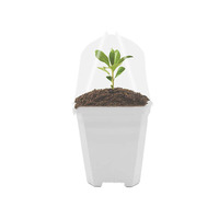 Pots de pépinière transparents de 4 pouces, pots de semis, pots de pépinière pour plantes avec dôme d'humidité, semoir pour jardin intérieur et extérieur