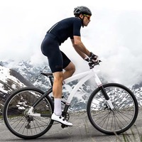 Vélo électrique en fibre de carbone A5E 250W/500W, batterie dissimulée, assistance au pédalage, vélo de route léger, entrepôt UE
