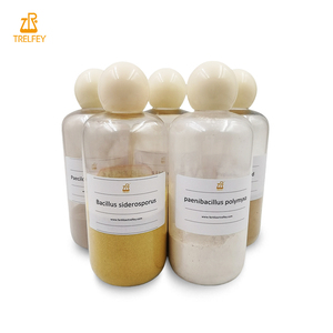 Agente Microbico ad Alta Concentrazione di Bacillus Subtilis e Paecilomyces Lilacinus per Sopprimere il Nematode della Radice, 10 <span class=keywords><strong>Miliardi</strong></span> di Coloni - Product Image 3