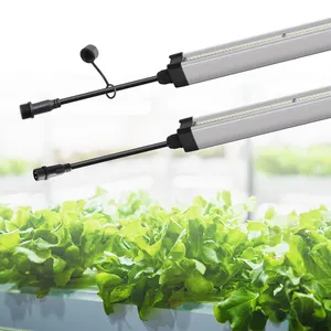 Led Grow Light Clone Veg Light 6500K T5 Tube For Seedling Medical Plant 18w 24w 36w Daisy Chain