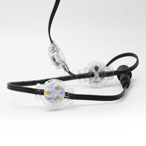 Nhà máy chuyên nghiệp cảnh quan đầy đủ màu sắc SMD5050 điểm ánh sáng kỹ thuật số RGBW 12V 24V <span class=keywords><strong>LED</strong></span> <span class=keywords><strong>Pixel</strong></span> ánh sáng - Product Image 3