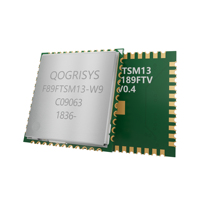 Module WiFi 4 150 Mbps 2,4 GHz 802.11b/g/n 1T1R SDIO 3.0 Realtek RTL8189FTV basse consommation pour STB, caméra IP, IoT