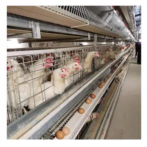 China Factory Supply Battery Chicken Layer Cage H Type Poultry Equipment Cage For Farming Egg Layers