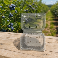 Conteneur en plastique recyclé RPET à clapet, capacité 250g, prêt à être expédié, G250F, boîte d'emballage pour fruits, pour myrtilles