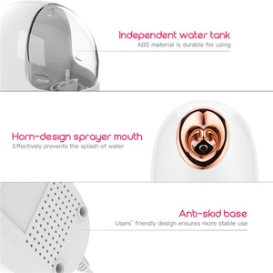 Vaporizador Facial Iónico Nano ABS OEM ODM, Rociador de Vapor Caliente para Uso Doméstico, Spa Hidratante, Sauna Facial - Product Image 4