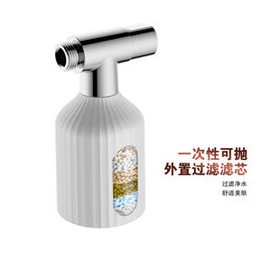 Filtro de ducha con cartucho desechable, tecnología de chapado de 1 etapa, fácil instalación para cabezales de ducha de techo - Product Image 1