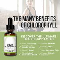 Clorofila Líquida de Marca Privada 59ml, Suplemento Detox para la Piel, Venta al por Mayor, Orgánica, a Granel