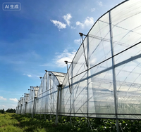 Grande serre agricole à simple travée en acier galvanisé, système de culture hydroponique NFT complet, conteneur de culture vertical