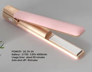 Straightener 2023 Latest Wireless Hairstyle Tool Hair Curler Blow Wind Wholesale Private Label Customize Hair Straightener